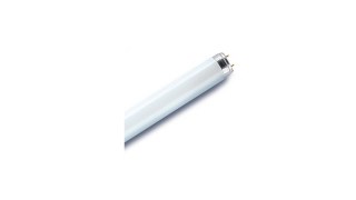 cat_lampada-fluor-lumilux-t8.jpg